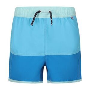 Regatta Childrens/Kids Sergio Swim Shorts / Aquarius/Indigo Blue